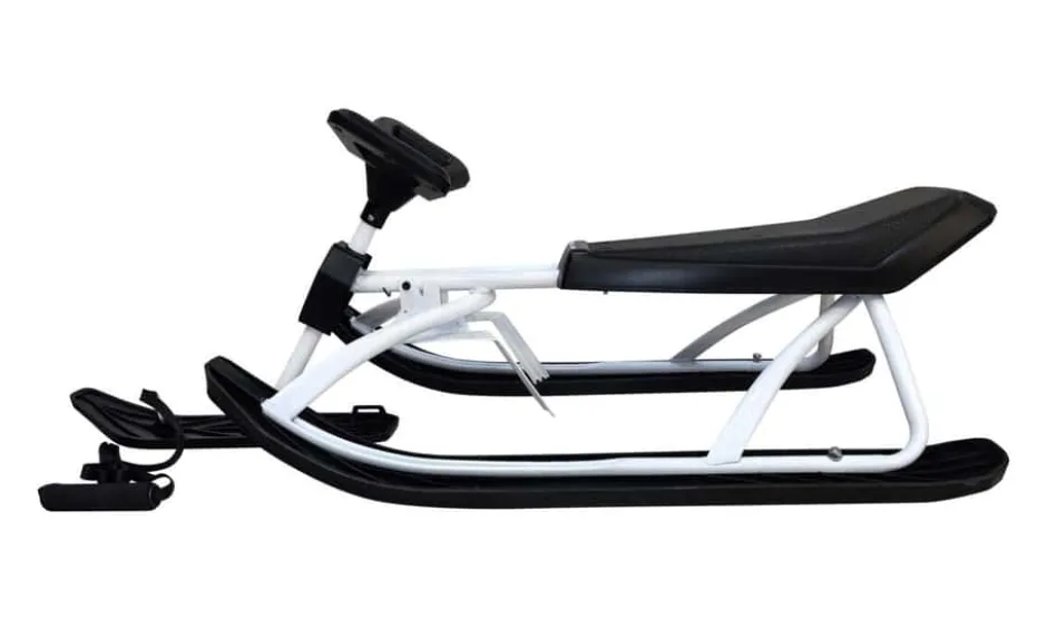 Alprace Bladerunner R2 kjelke