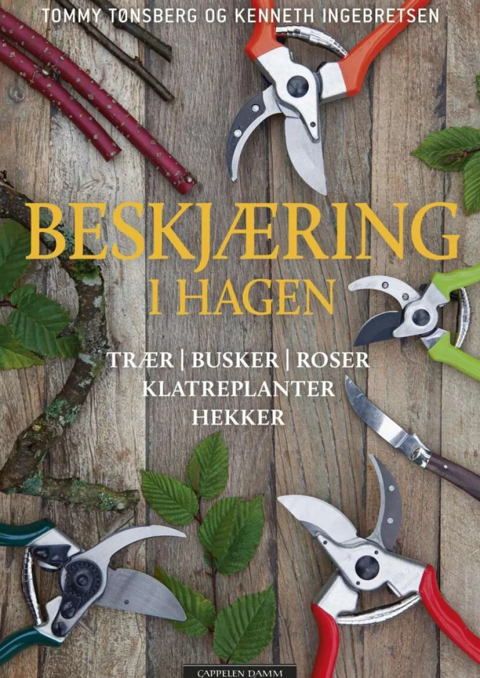 Beskjæring i hagen