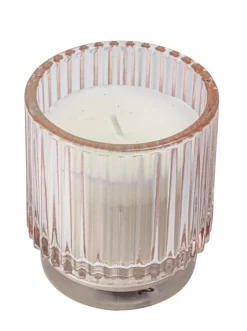 Citronella mygglys