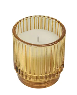 Citronella mygglys