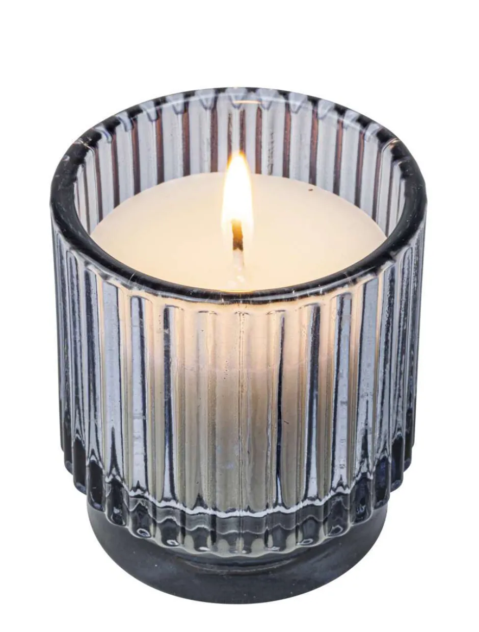 Citronella mygglys