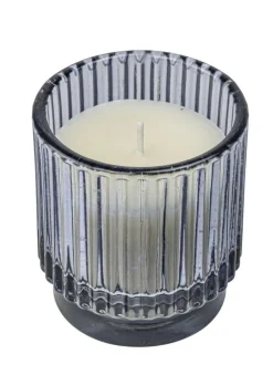 Citronella mygglys