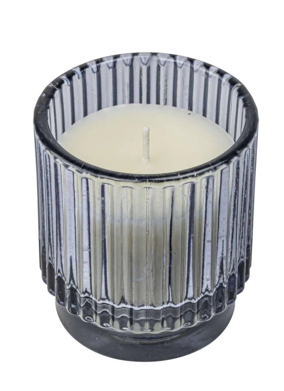 Citronella mygglys