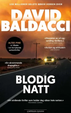 David Baldacci: Blodig natt