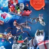 Dogman Adventskalender Katt