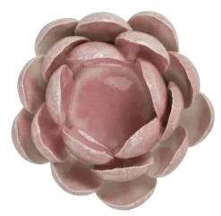 Florus Telysholder