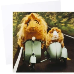 Kort Hamster på scooter