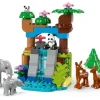 LEGO® DUPLO® Town 3-i-1 Villdyrfamilier 10446