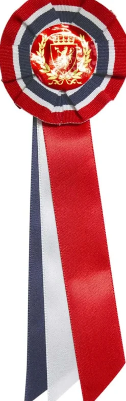 17. mai sløyfe