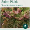 Odle 'Amerikanischer brauner' plukk salat frø