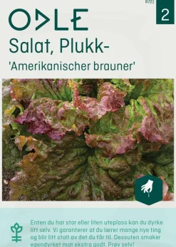 Odle 'Amerikanischer brauner' plukk salat frø