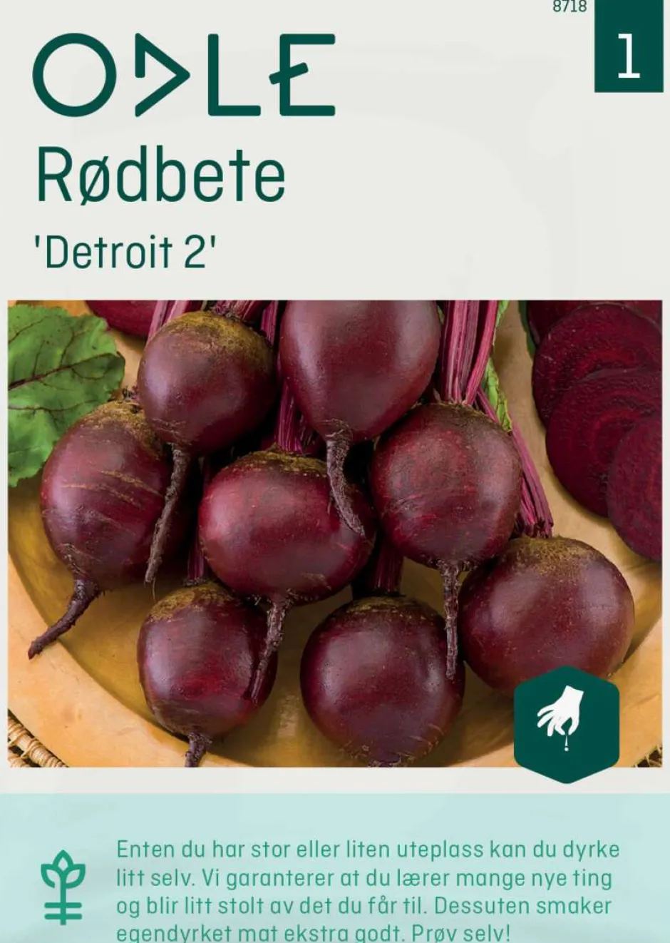 Odle 'Detroit 2' rødbete frø