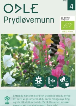 Odle høy prydløvemunn frø