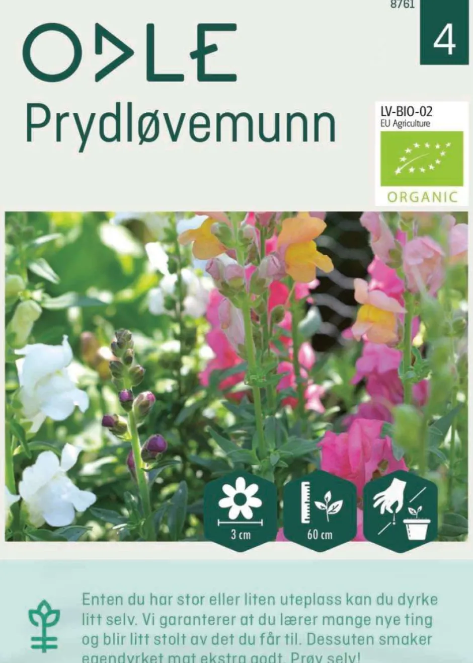 Odle høy prydløvemunn frø