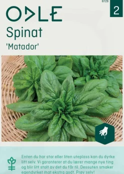 Odle 'Matador' spinat frø