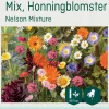 Odle 'Nelson Mixture' mix honningblomster frø