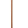 Odle rake