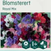 Odle 'Royal Mix' blomsterert frø