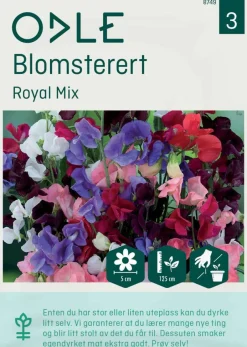 Odle 'Royal Mix' blomsterert frø