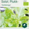 Odle salat, plukk-, Ccatalonga frø