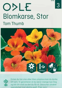 Odle ' Tom Thumb' stor blomkarse frø