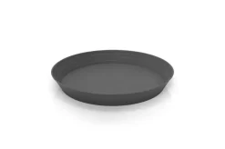 Odle underskål