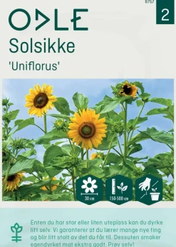 Odle 'Uniflorus' solsikke frø
