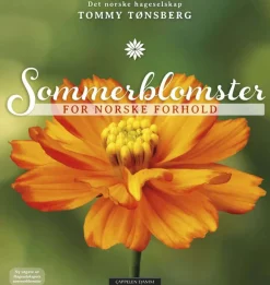 Sommerblomster for norske forhold