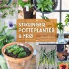 Stiklinger, potteplanter og frø - inne og ute