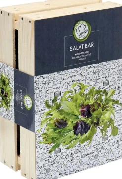 Trekasse Salatfrø inkludert kompost og frø